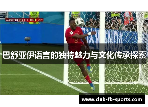 巴舒亚伊语言的独特魅力与文化传承探索