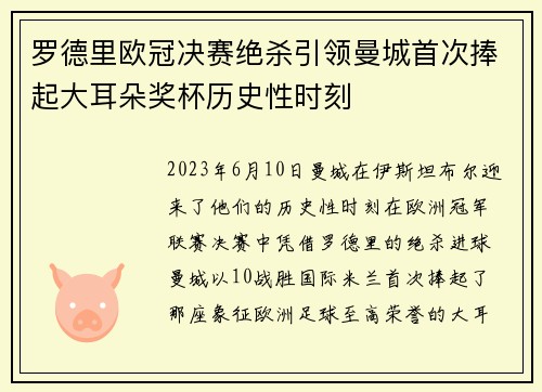 罗德里欧冠决赛绝杀引领曼城首次捧起大耳朵奖杯历史性时刻